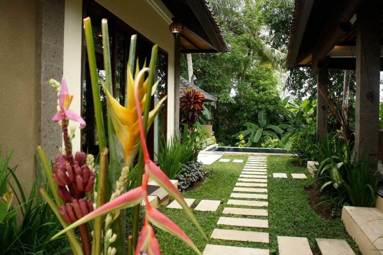 Villa Elysium Fields - Rustic Meets Industrial Chic Design Canggu Zewnętrze zdjęcie